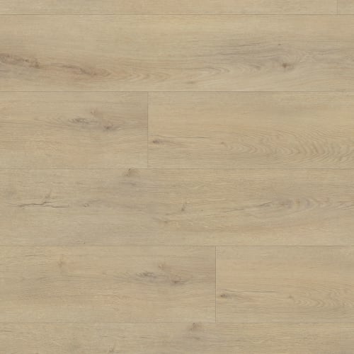 Expedition Gingko by Beaulieu