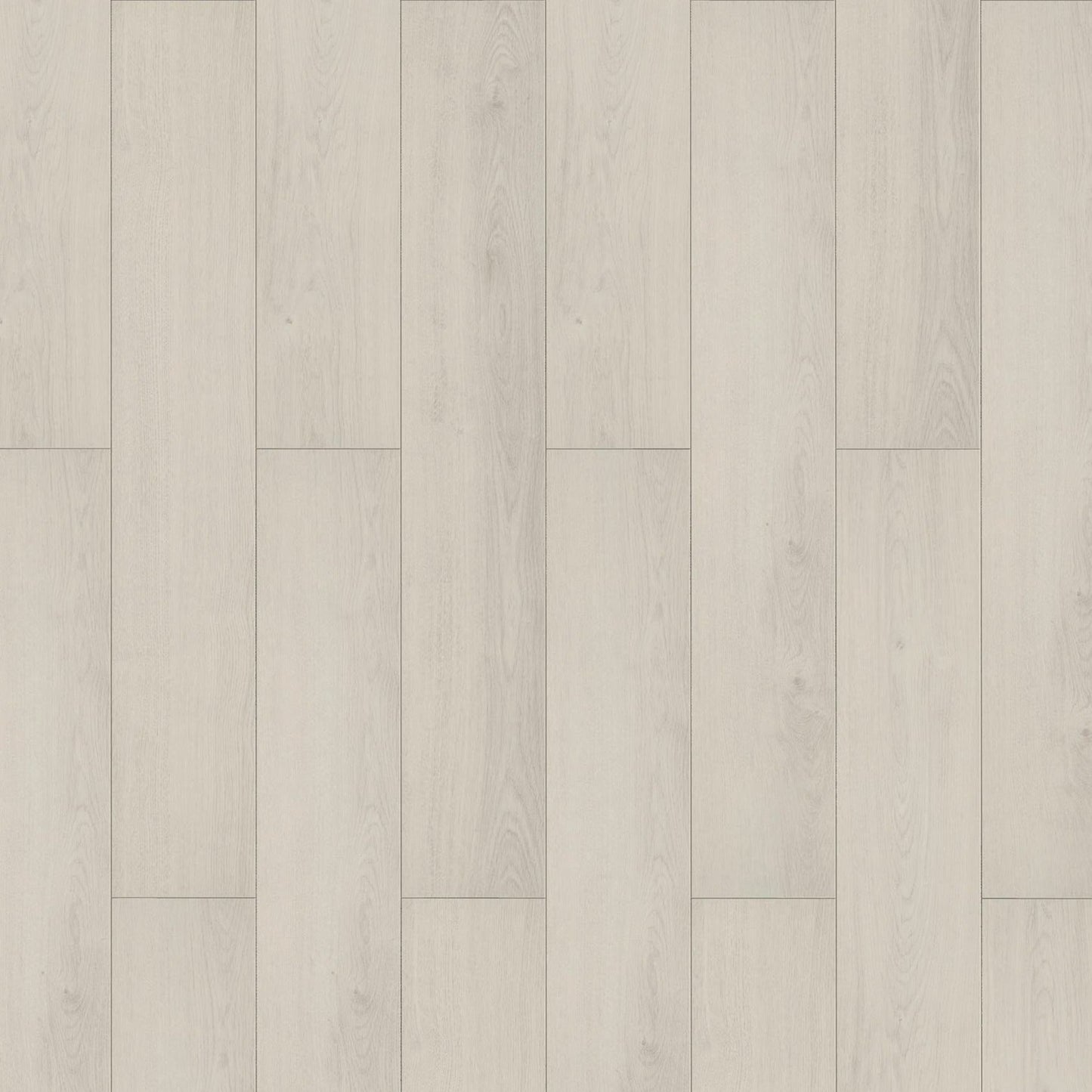 InHaus - Lamdura - Visions Collection - Darwin