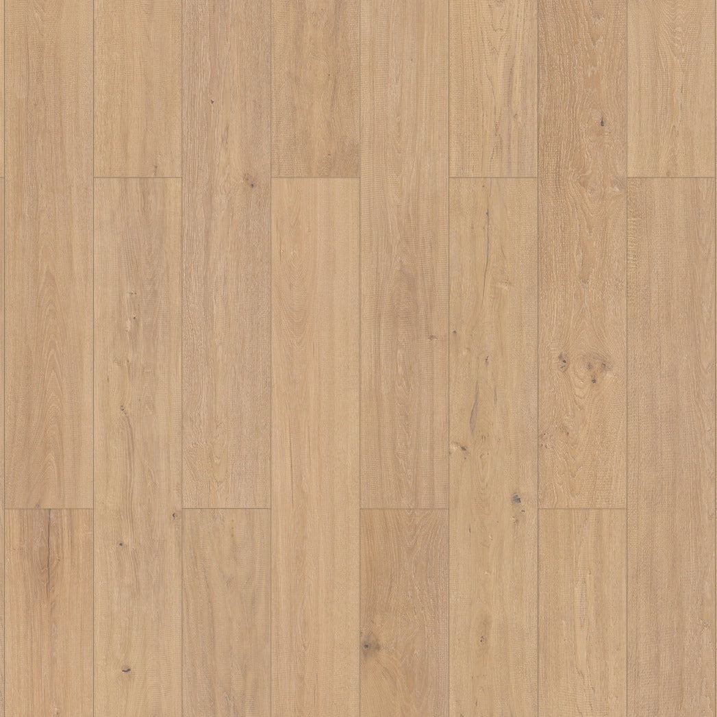 InHaus - Elandura Collection - Sutter