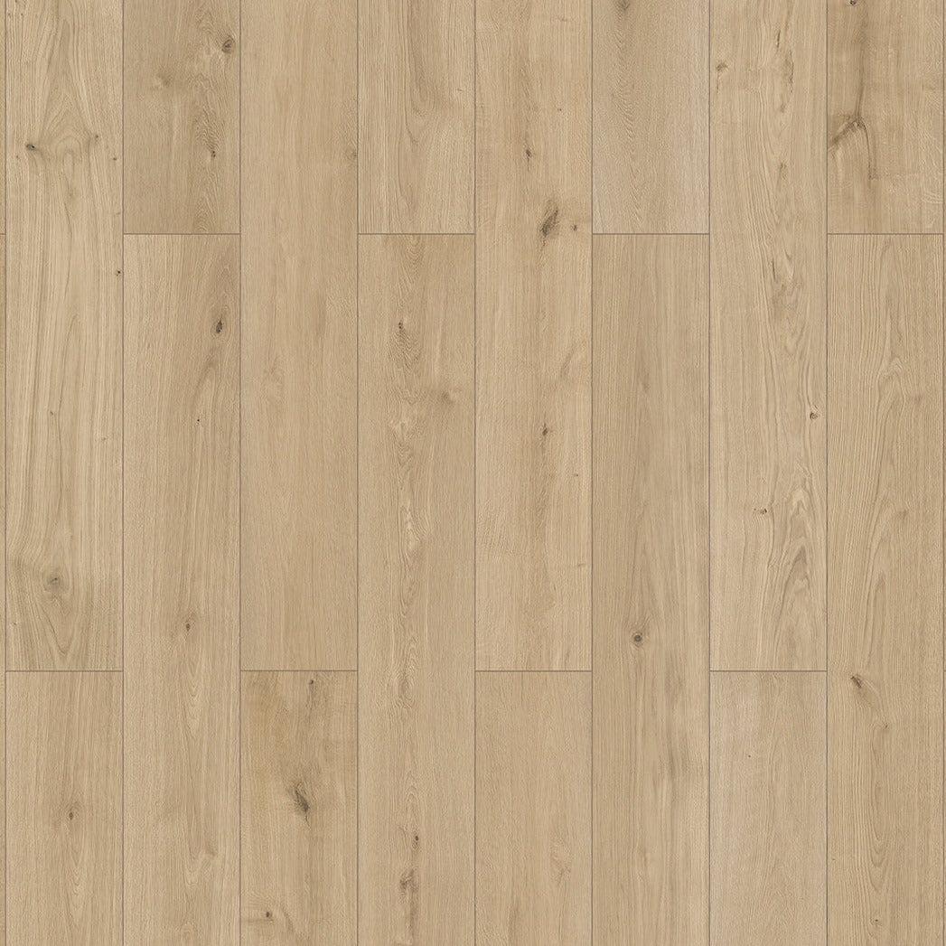 InHaus - Elandura Collection - Urban