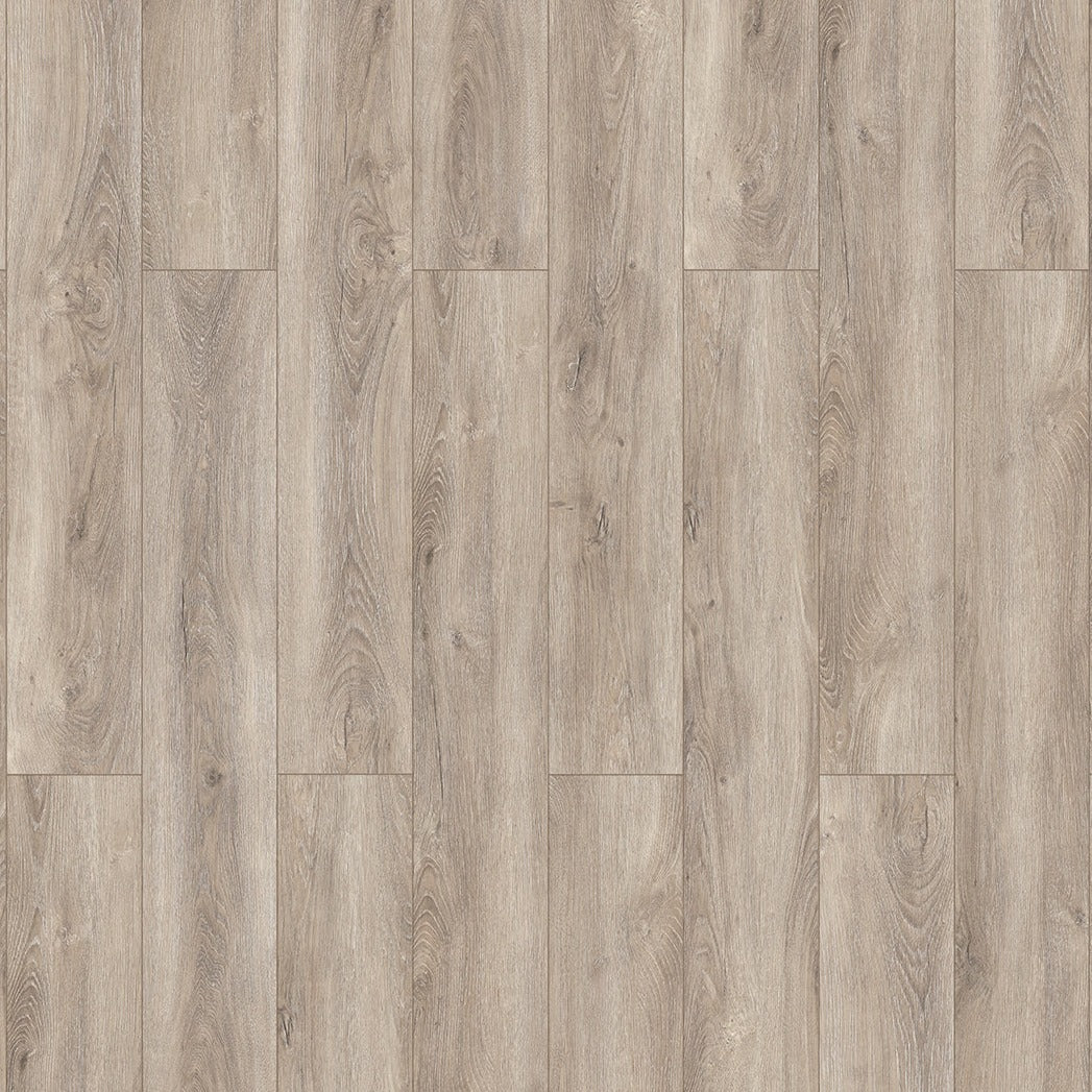 InHaus - Elandura Collection - Clove