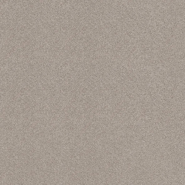 Shaw Floors - Carpet - COMFORTING I - Anonymous