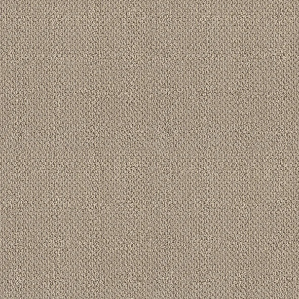 Shaw Floors - Carpet- Foundations Collection - Smart Thinking - Barista