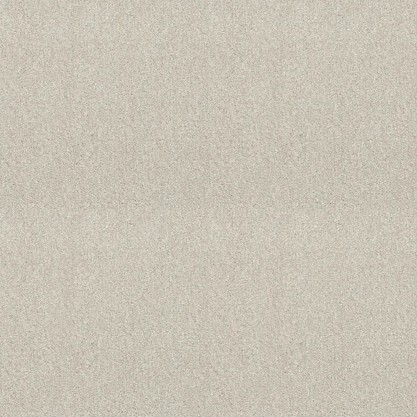 Shaw Floors - Carpet - Simply The Best - Attainable - Blizzard