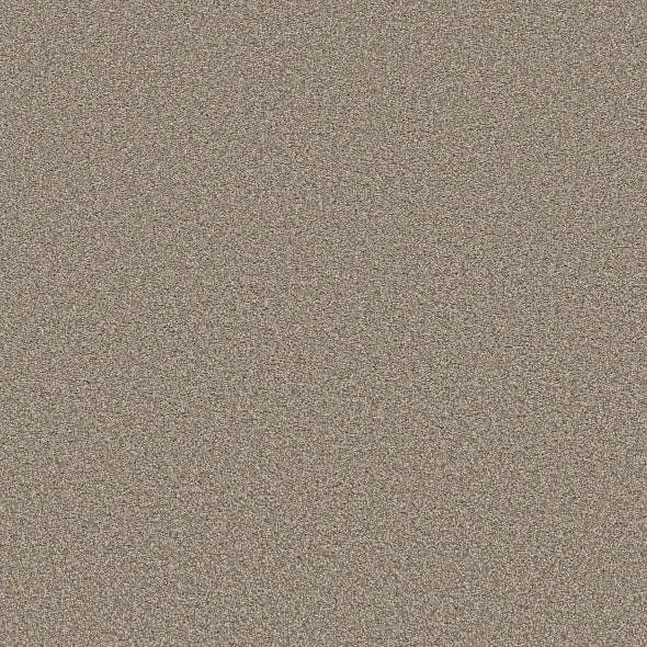 Shaw Floors - Carpet - Simply The Best - TRUSOLUTIONS III - Beach Cabana