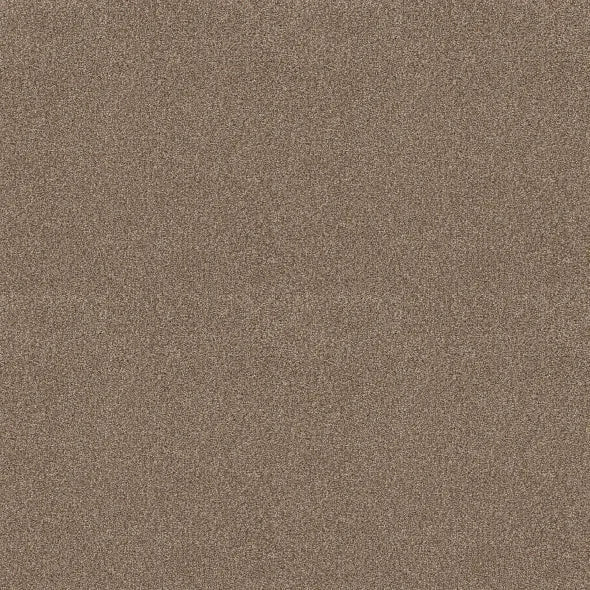 Shaw Floors - Carpet - COMFORTING I - Riverbank