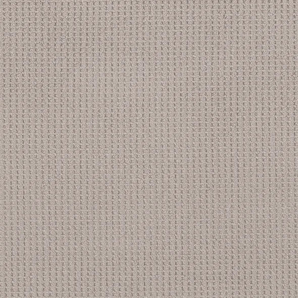 Shaw Floors - Carpet - Foundations Collection - Faint Intent - Baltic Stone