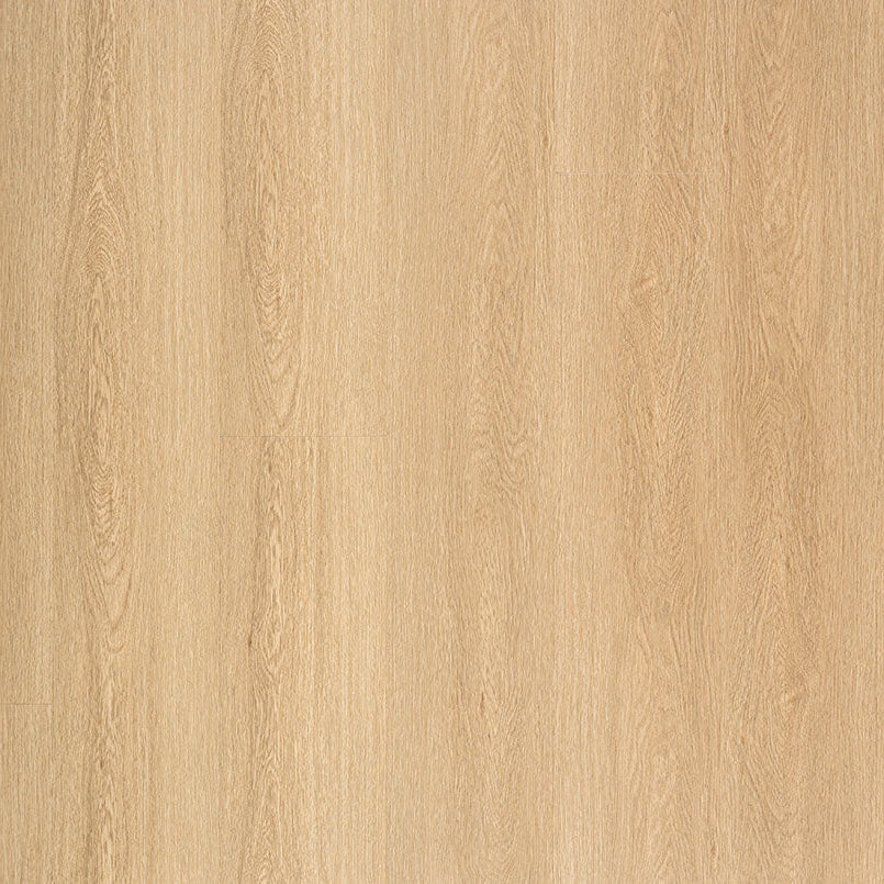 MSI Surfaces - Laurel Reserve Collection - Bayside Bluff