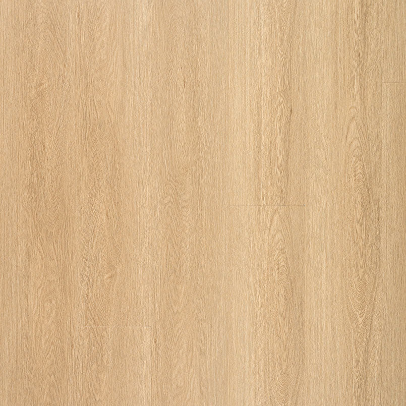 MSI Surfaces - Laurel Collection - Bayside Bluff