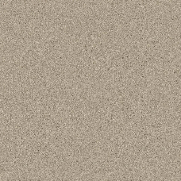 Shaw Floors - Carpet - COMFORTING II - Chamois