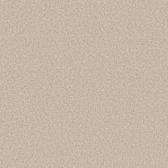 Shaw Floors - Carpet- Foundations Collection - HARMONIOUS II - Champagne Toast