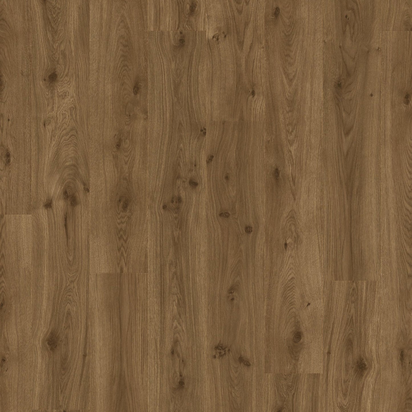 TORLYS - Grand View Collection - Cadmus Oak