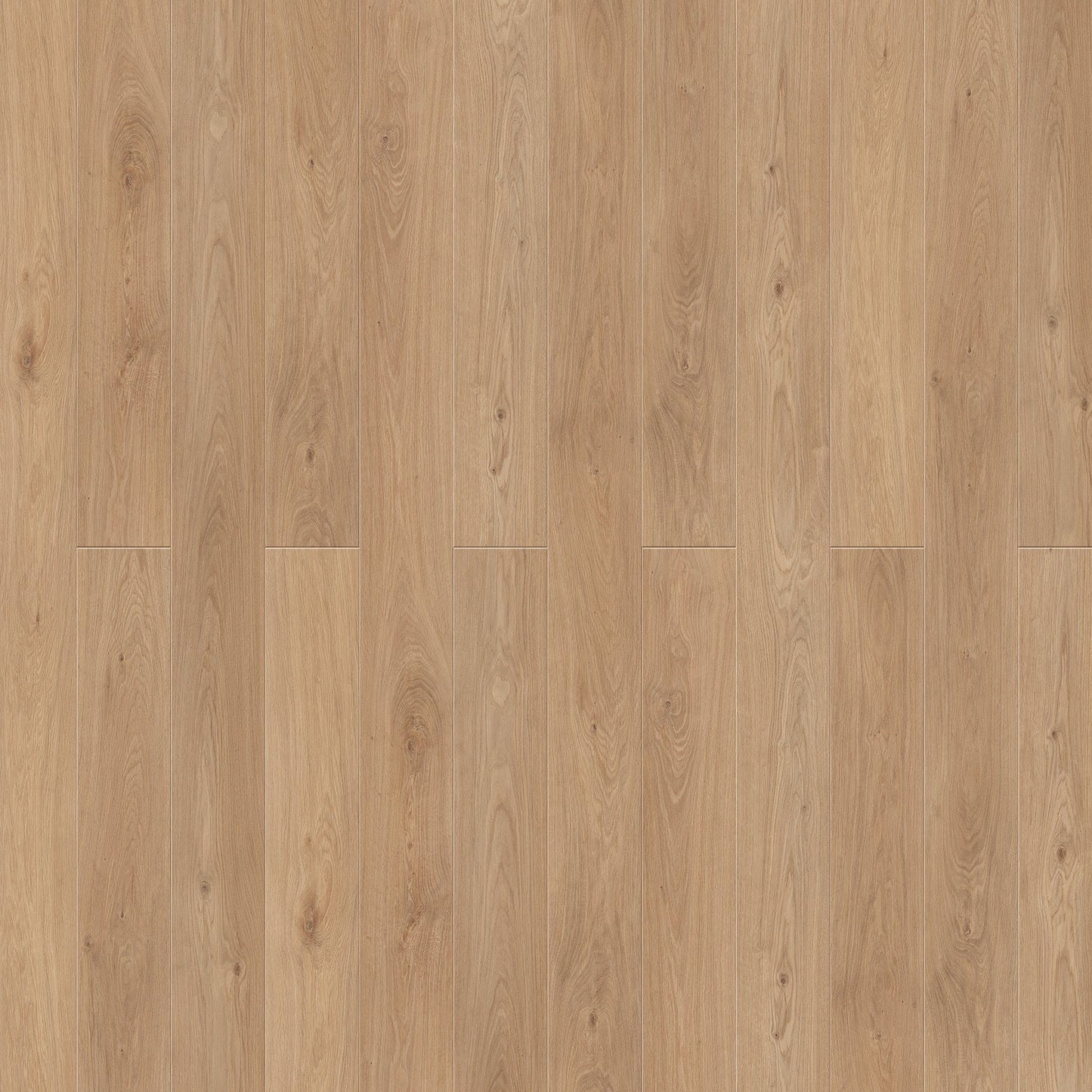 Caledon - Aqua X Collection - Coral Sunset