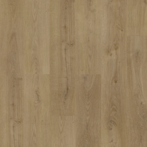 BIYORK - HydroGen 5 - Cashmere