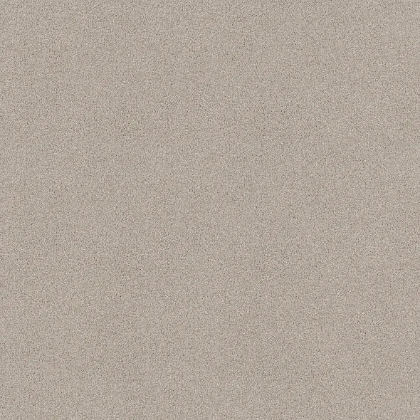 Shaw Floors - Carpet - COMFORTING I - Dainty Lace