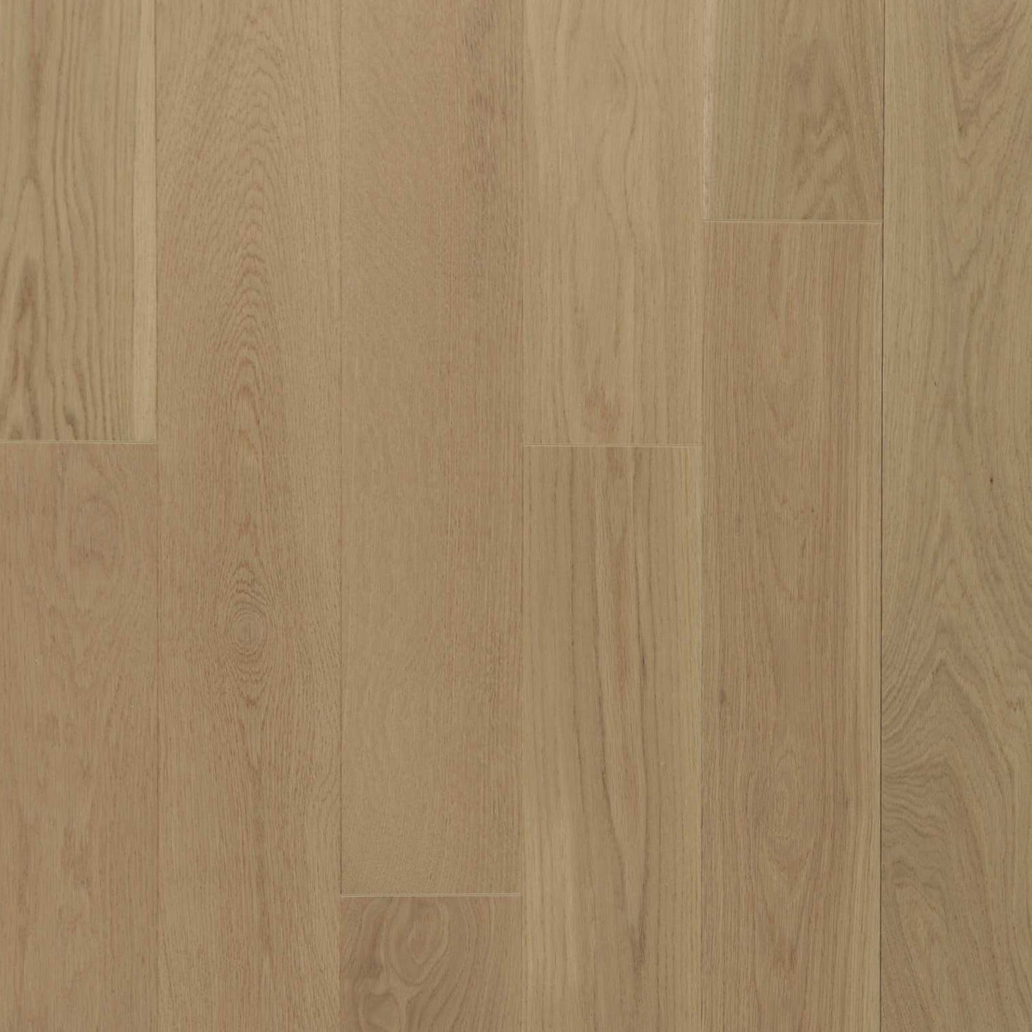 Vidar - West Coast - Daybreak - 9" - AB