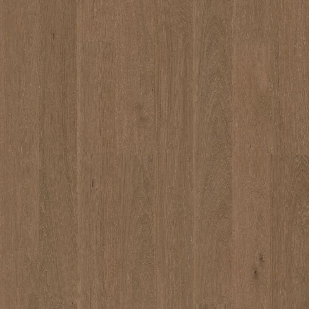 BJELIN - WOODURA - CONTRAST COLLECTION - XL FORMAT - OAK - DESERT