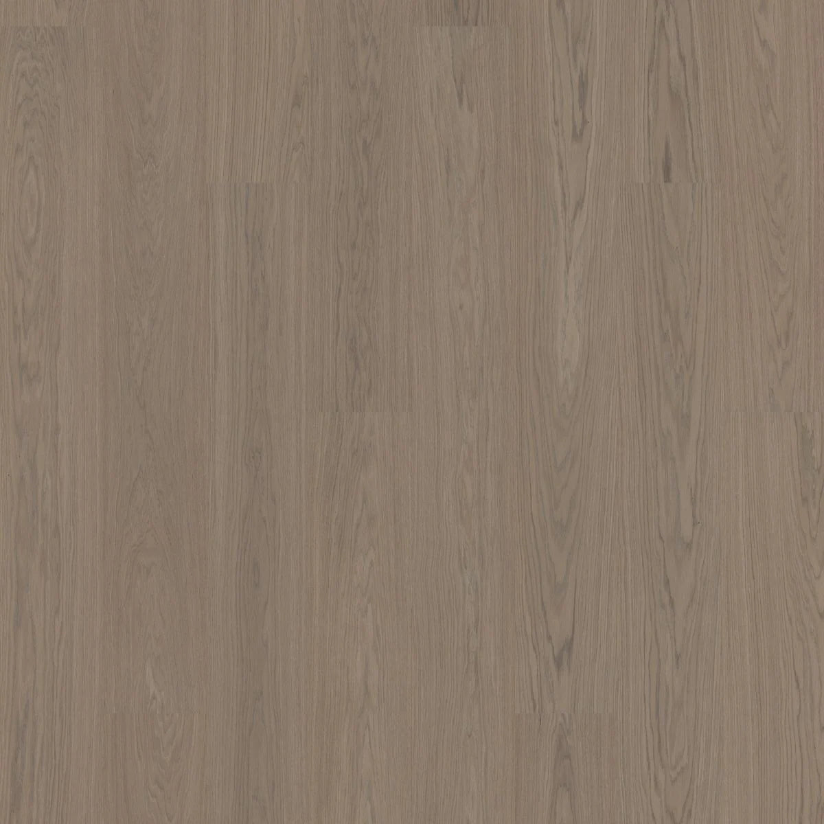 BJELIN - WOODURA - SELECT COLLECTION - XXL FORMAT - OAK - EARTH GREY