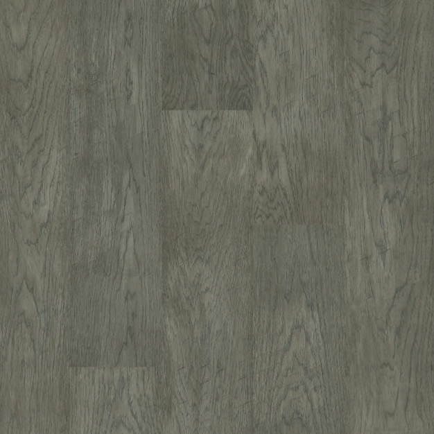 BIYORK - Nouveau 6 Collection - Euro Grey