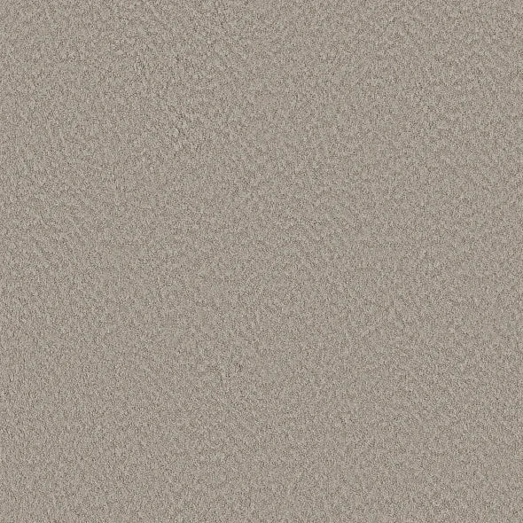 Shaw Floors - Carpet - Foundations Collection - Alluring Canvas - Fossil Path