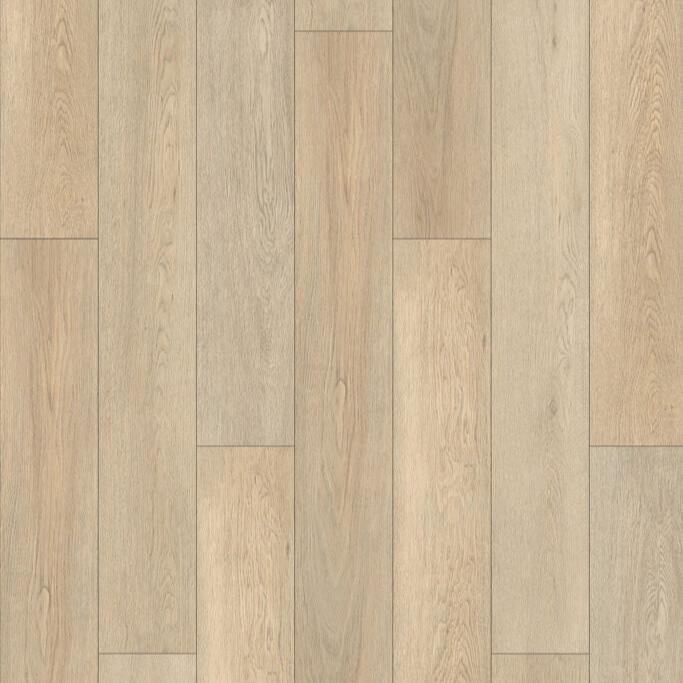 TAIGA - Aquila Collection - Focus