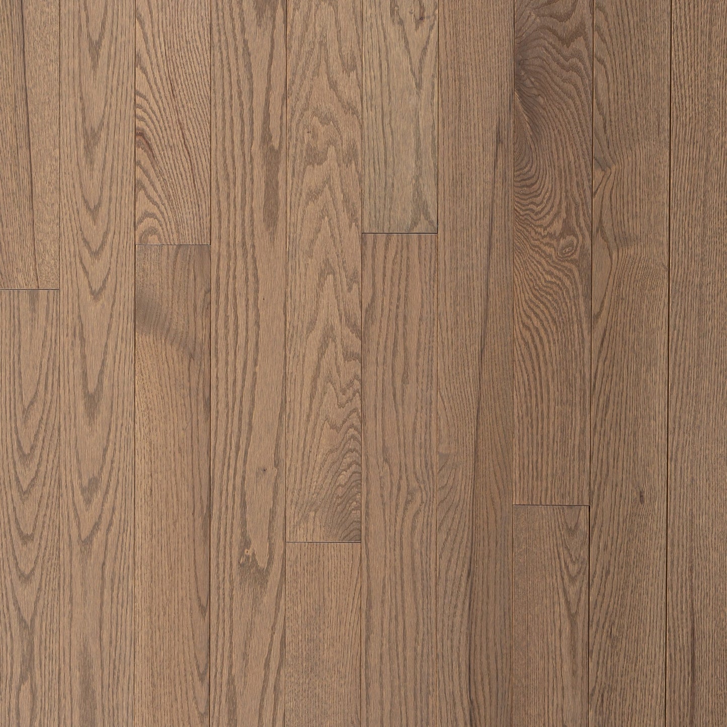 Wickham - Domestic Collection - Engineered Elite - 5" - Select Grade - Red Oak - Forest Hill