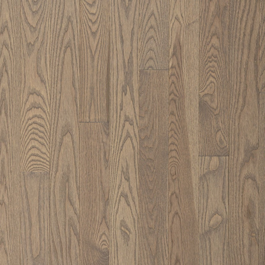 Wickham - Domestic Collection - Builder Grade - 3 1/4" - Ash - Forest Hill