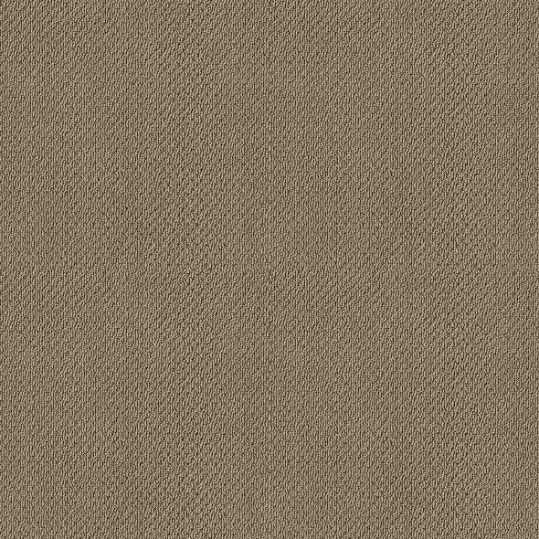 Shaw Floors - Carpet- Foundations Collection - Grounded