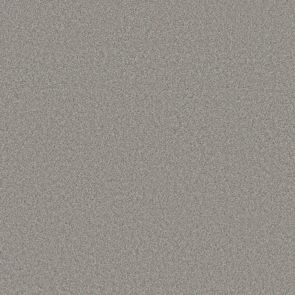 Shaw Floors - Carpet- Foundations Collection - HARMONIOUS II - Grey Fox