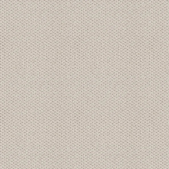 Shaw Floors - Carpet - Foundations Collection - Faint Intent - Gallery Opening