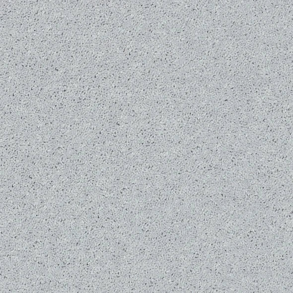 Shaw Floors - Carpet - Full Court 12' - Dove