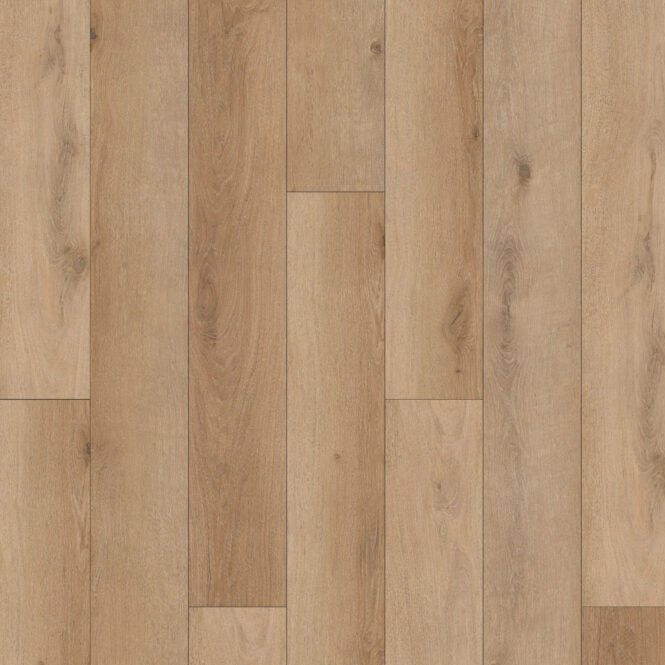 TAIGA - Stonewear+ Collection - Grog