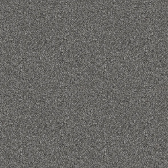 Shaw Floors - Carpet - Simply The Best - Attainable - Hearthstone