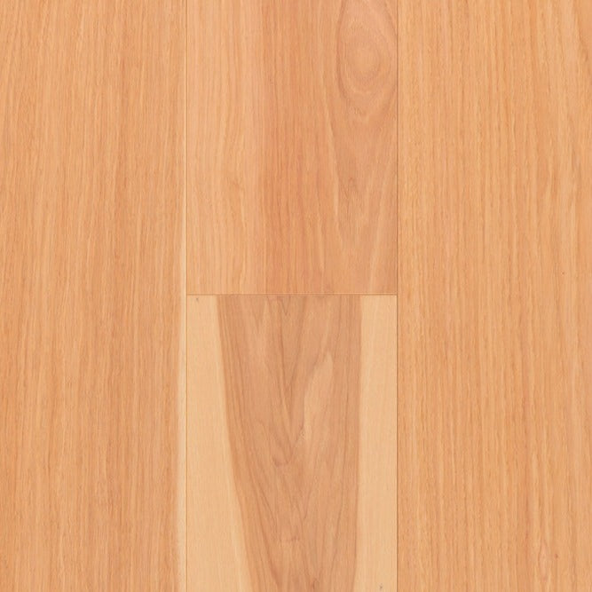 TORLYS - Everest XP Elite - Maple Natural*