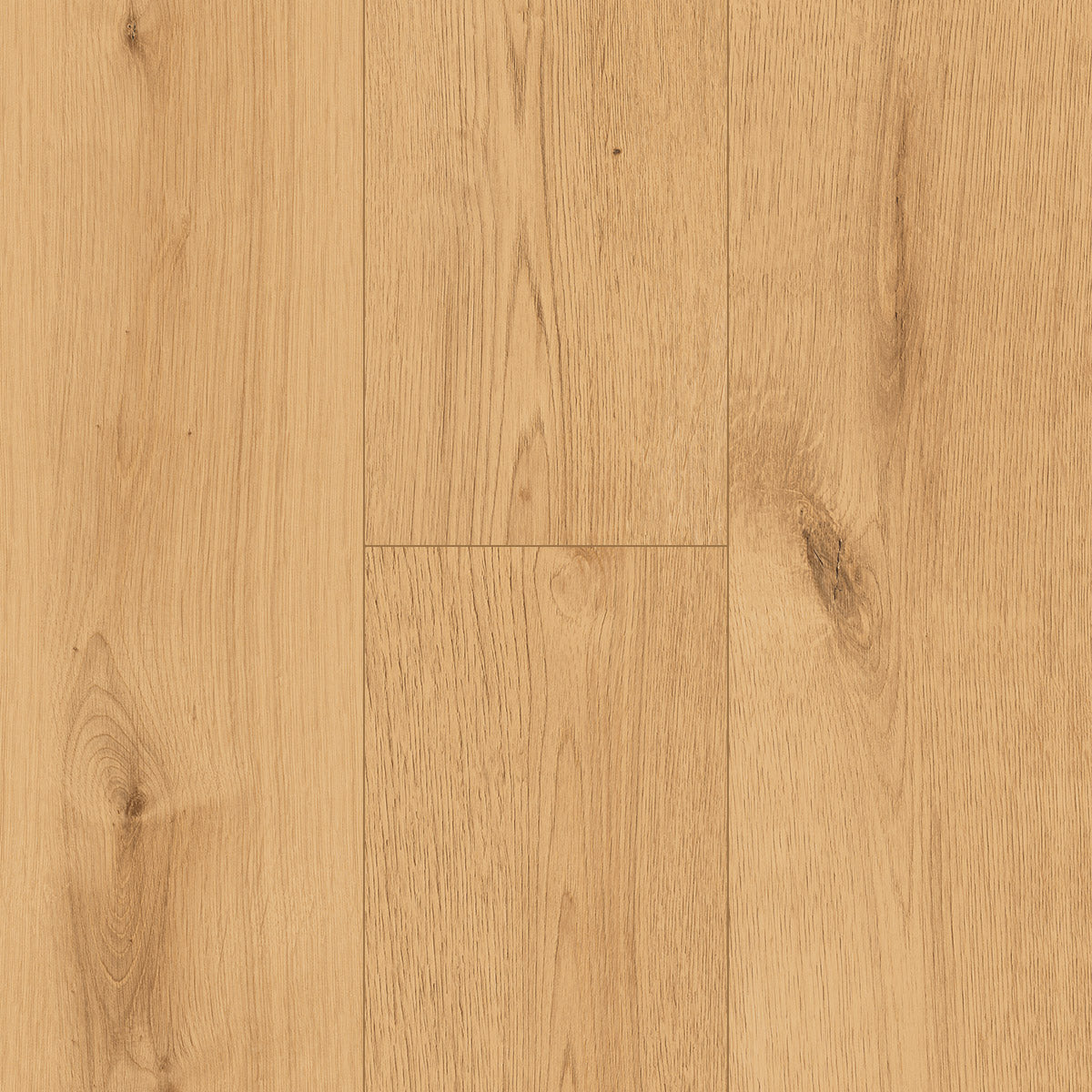 InHaus - Ceramin® - Icon Collection - Hollyburn