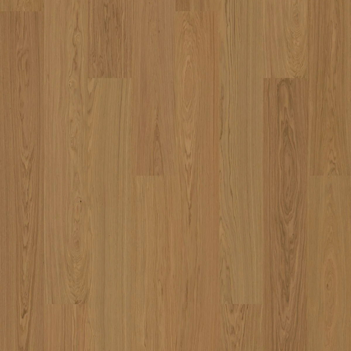 BJELIN - WOODURA - SELECT COLLECTION - XL FORMAT - OAK - HONEY
