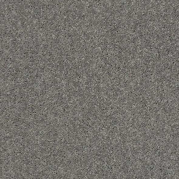 Shaw Floors - Carpet - Full Court 12' - Ink Spot