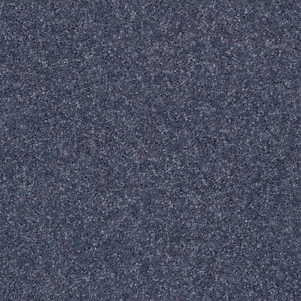 Shaw Floors - Carpet - Full Court 12' - Charcoal