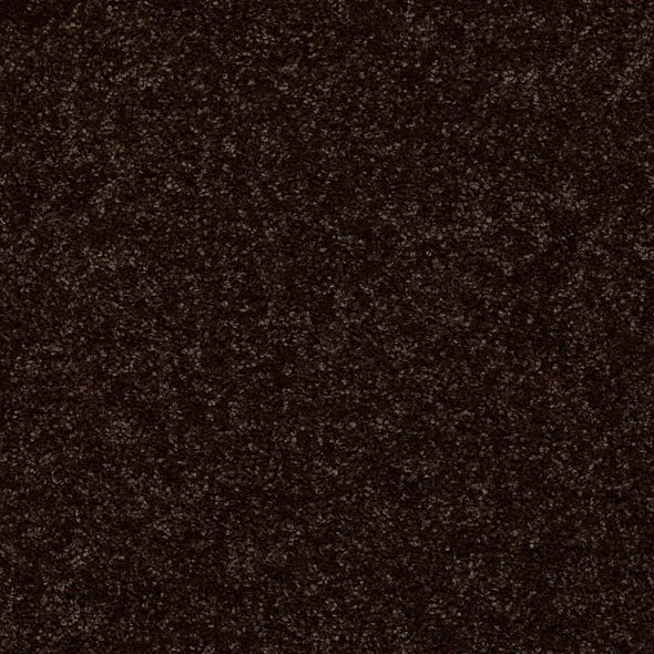 Shaw Floors - Carpet - Full Court 12' - Coffee Bean