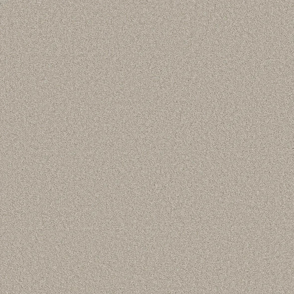 Shaw Floors - Carpet- Foundations Collection - HARMONIOUS III - Split Sediment