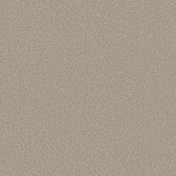 Shaw Floors - Carpet- Foundations Collection - HARMONIOUS III - Fossil Path