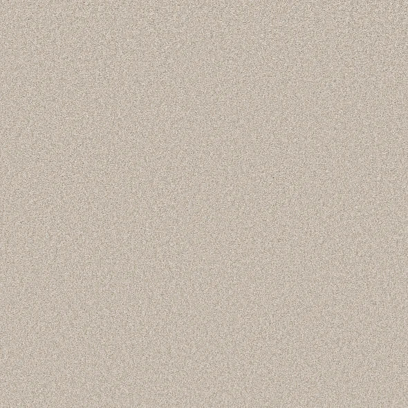 Shaw Floors - Carpet- Foundations Collection - HARMONIOUS III - Gallery Opening