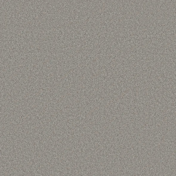 Shaw Floors - Carpet- Foundations Collection - HARMONIOUS III - Grey Fox