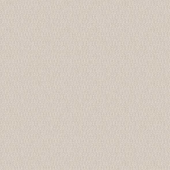 SHAW FLOORS - CARPET - SIMPLY THE BEST - LOOP DE LOOP - CANVAS