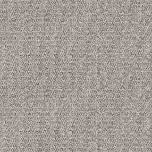 SHAW FLOORS - CARPET - SIMPLY THE BEST - LOOP DE LOOP - WARM GREIGE