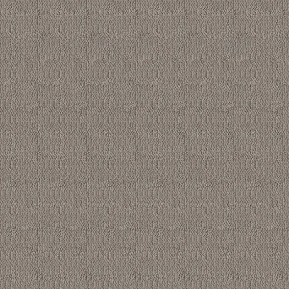 SHAW FLOORS - CARPET - SIMPLY THE BEST - LOOP DE LOOP - INDUSTRIAL