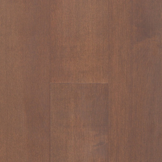 TORLYS - Everest XP Elite - Maple Arabica*