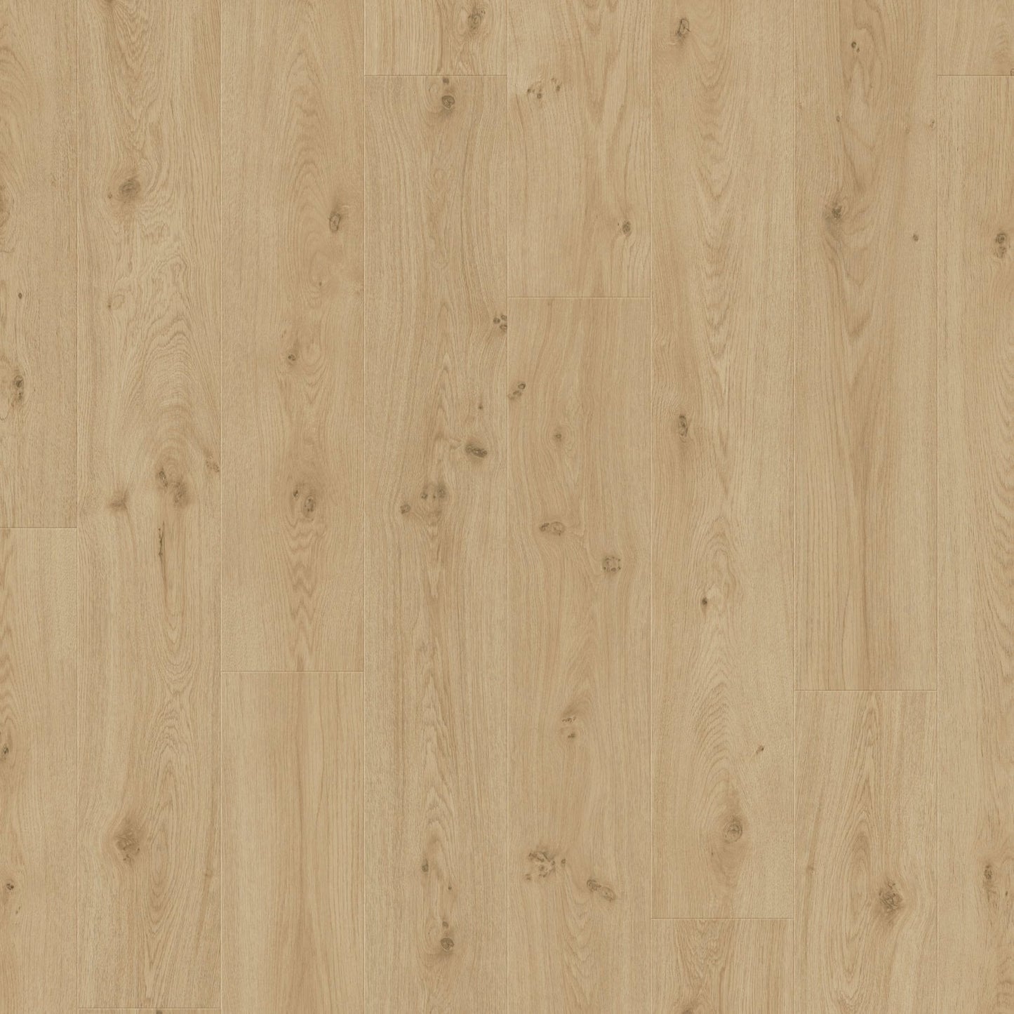 TORLYS - Grand View Collection - Midas Oak