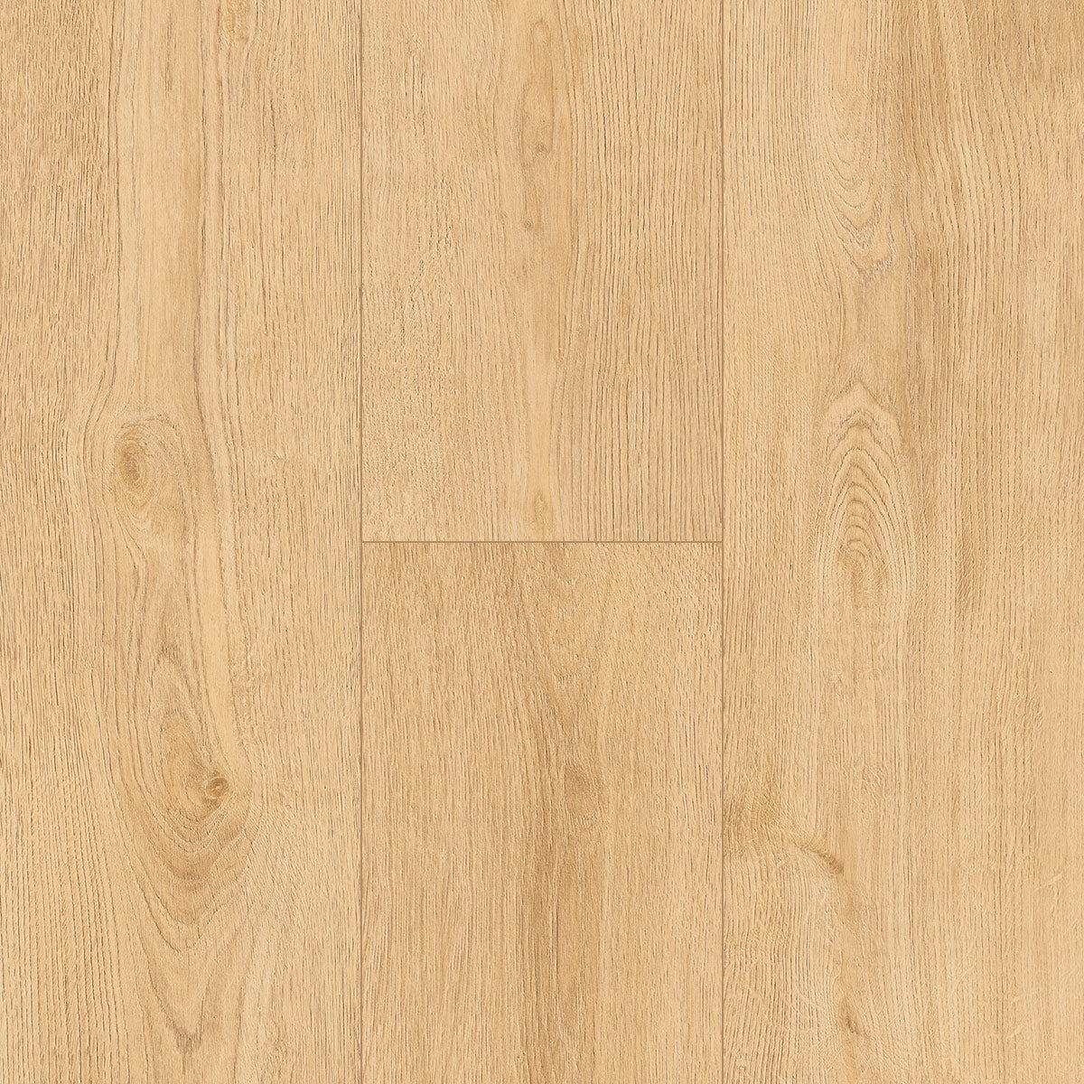 InHaus - Ceramin® - Gallery Collection - Norgate