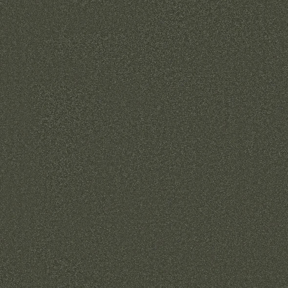 Shaw Floors - Carpet - Classics Collection - Awaken Spirit II - 12' - Olive Tree